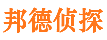 共青城市调查公司